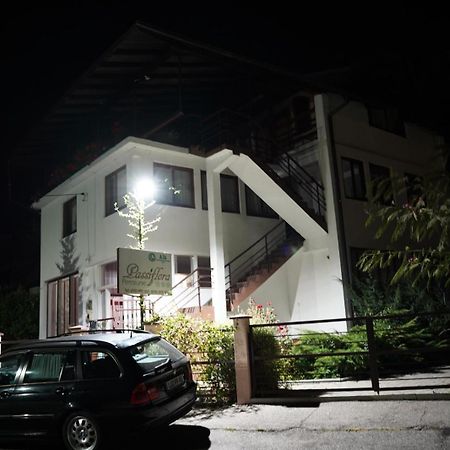 Passiflora Hotel Voineasa Exterior photo